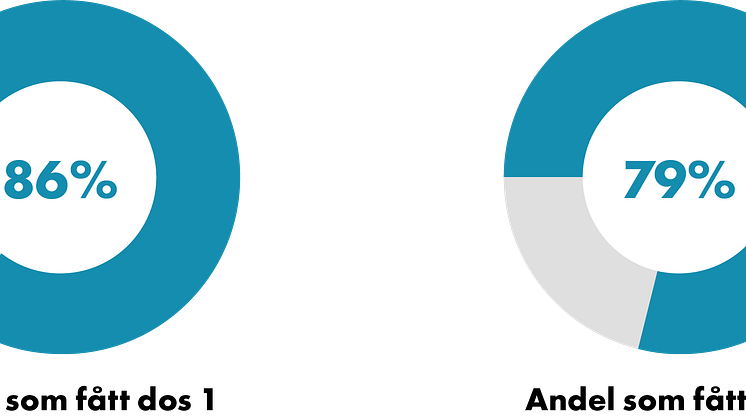 210924_Cirkel andel.png