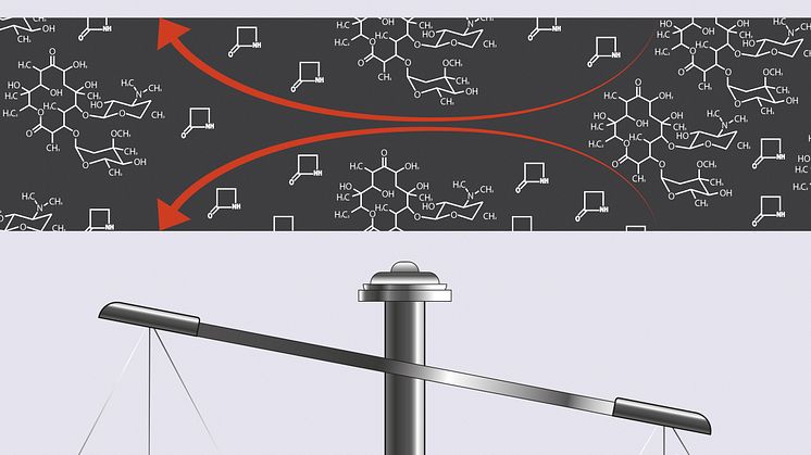 Antagonism between fungi and bacteria