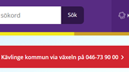 Storm_VMA_webben.png