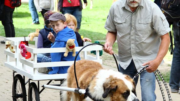 Tag der offenen Tür 2015