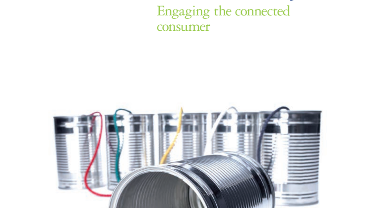 Global Powers of Consumer Products 2013