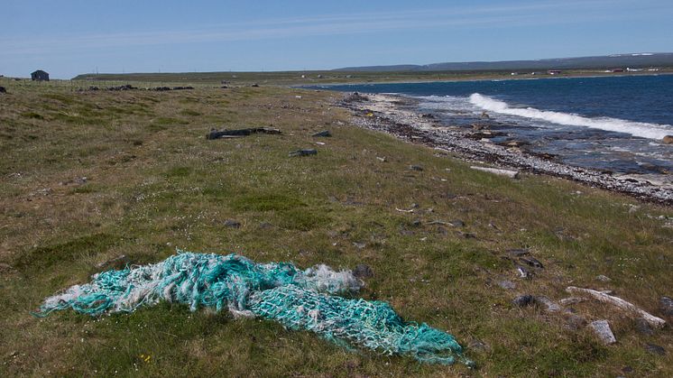 Marine litter, fishing net