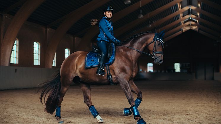Equestrian Stockholm enters into partnership with Priveq