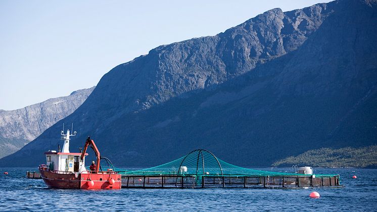 Presentations from Cermaq's sustainability seminar 