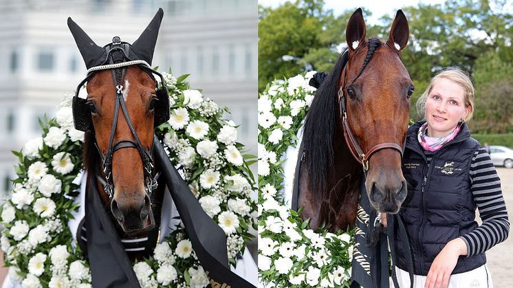 Diana Zet efter segern i Svenskt Trav-Oaks 2019 och  Readly Express med skötaren Inga Perk efter segern i Svenskt Trav-Kriterium 2015. Bilden är ett montage. Foto: TR Bild.