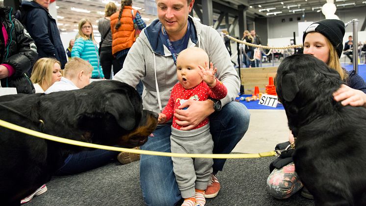 Hundklapp på EuroHorse
