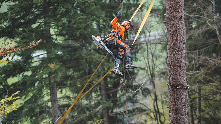 STIHL MS 462 også til arbejde i højden
