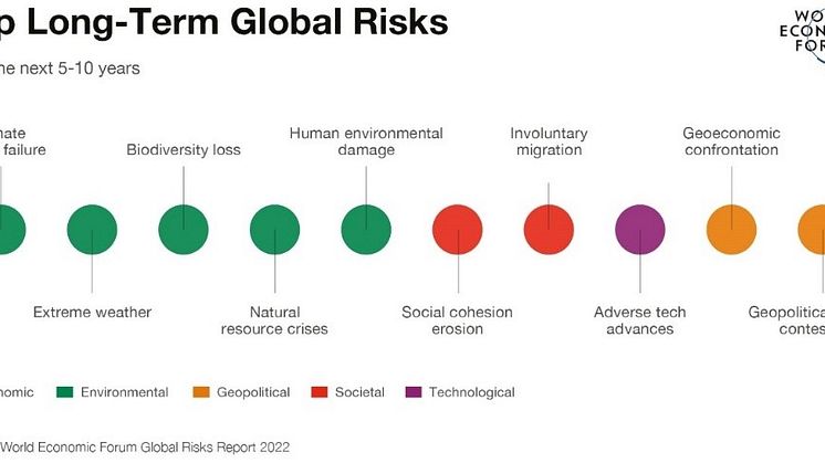 Top_Long_Term_Global_Risks.jpg