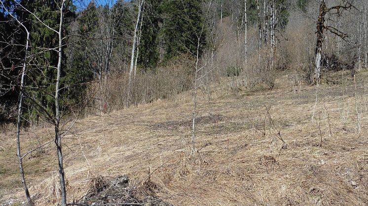 ​GAF AG and partners monitor changes at Natura2000 sites across Europe