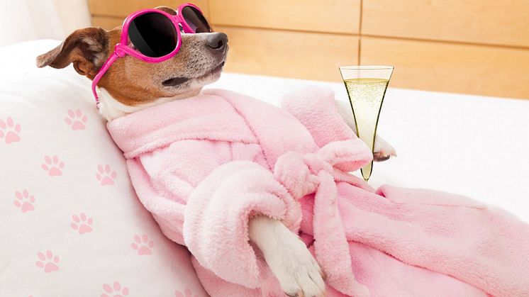 Take it easy. ECC and M1 Legal do all the work