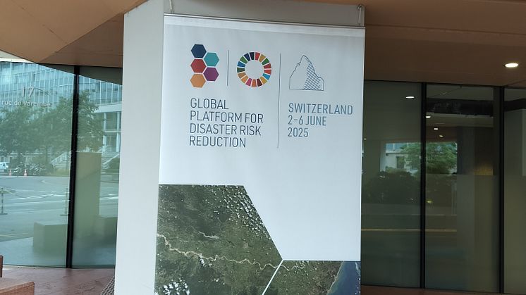Konferens Geneve 2025.jpg