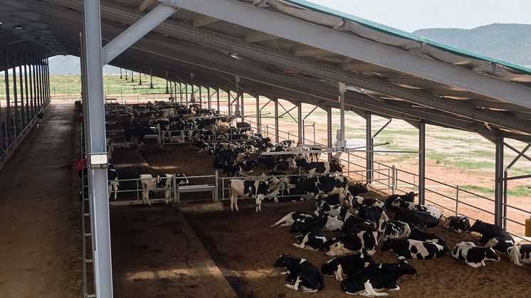 ArlaFarm_Nigeria_opening_V38
