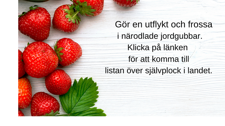 Din stycketext