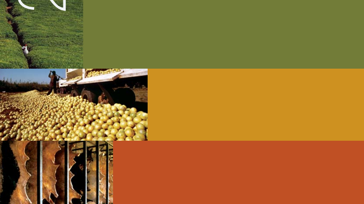 State of Agricultural Commodity Markets (SOCO) 2006
