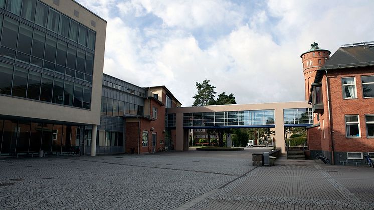 Den pågående pandemin gör det omöjligt att ses på campus - istället arrangeras de planerade forskningskonferenserna digitalt.