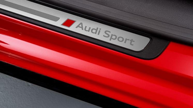 A5 DTM selection - Audi Sport logo på indstigningspanel