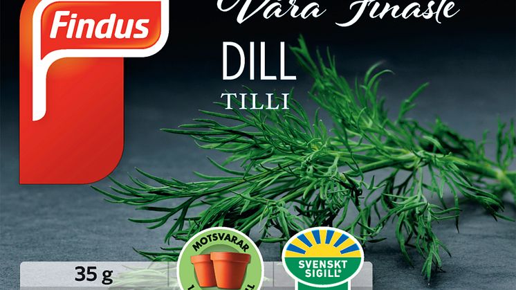 Dill