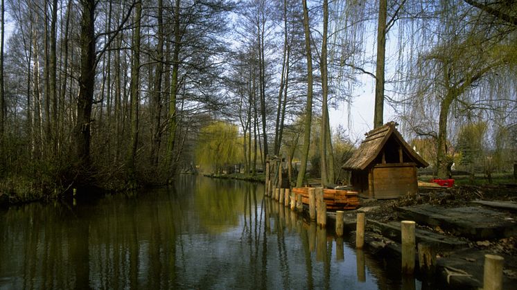 Sejltur til julefest i Spreewald
