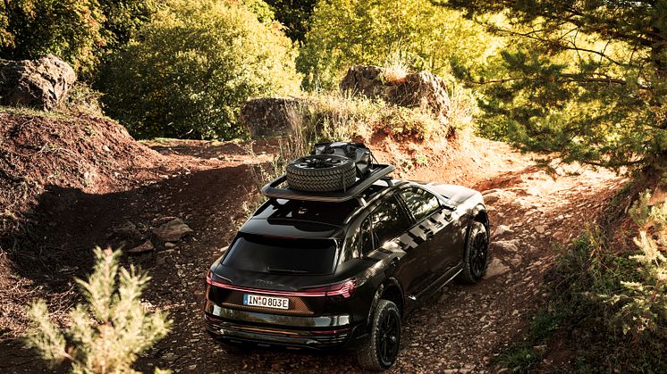 Audi Q8 e-tron edition Dakar