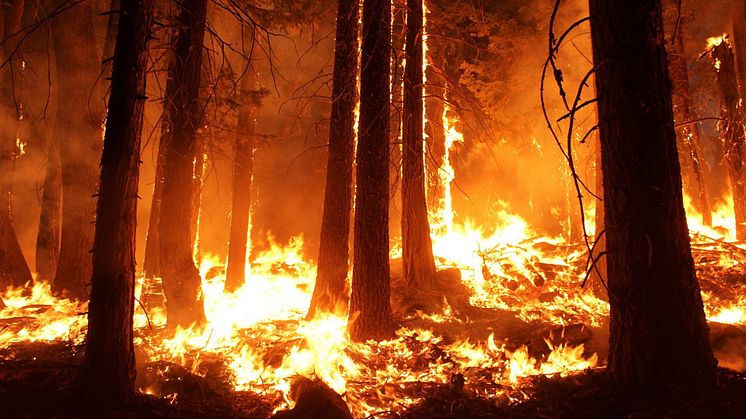 Wildfire Smoke Filter Solution Guide