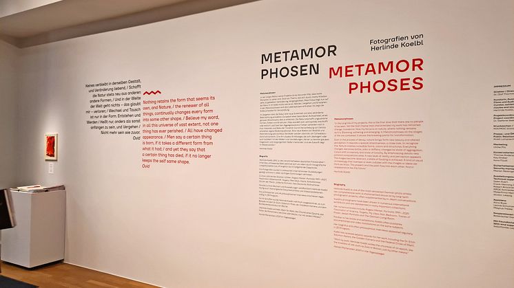 Ausstellung "Metamorphosen" von Herlinde Koelbl - Foto: Elli Flint
