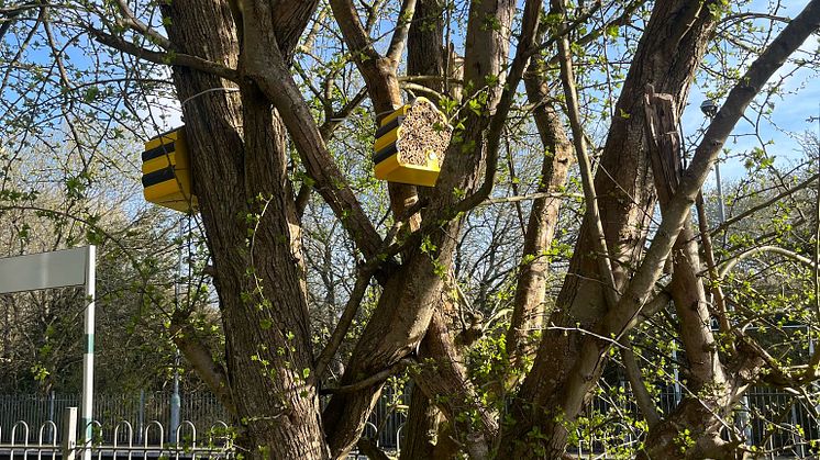Homes for Nature installed at Berwick.jpg