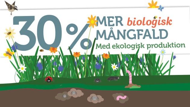 30 procent mer biologisk mångfald på ekogårdar