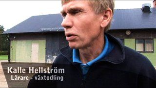 Webb-TV om Lantbruk & Skog på Mimersbrunn.se