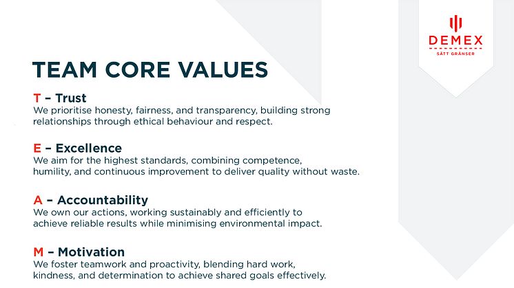 Team core values.jpg