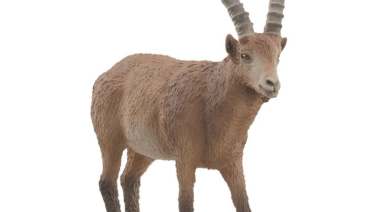 14873_Wild Life_Ibex (c)Schleich