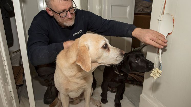 bragdhund 2021_2.jpg