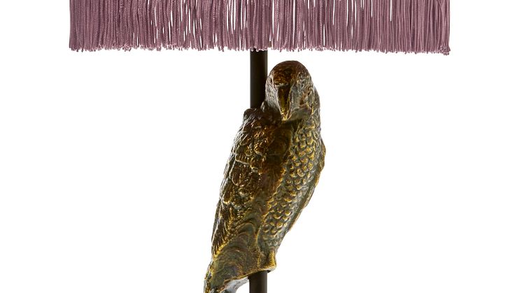 Parrot