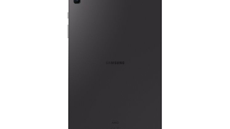 Galaxy Tab S6 Lite_Back_Grey