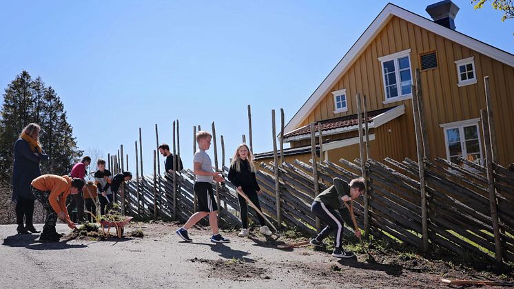Økologisk Norge får støtte til å etablere flere skolehager på Østlandet. Bildet er fra etableringen av skolehagen på Nordby skole i Ås. (Foto: Eva Birgitta Hollander/Heia Folk).