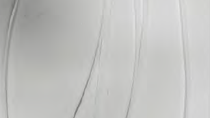 Cable ties.png