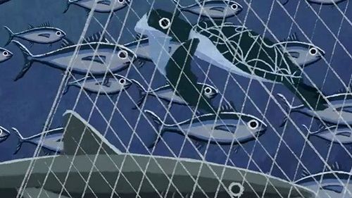Svenska lärare erbjuds gratis skolmaterial från MSC
