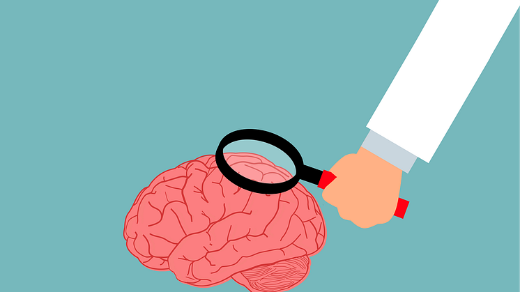 brain-6974397_1920