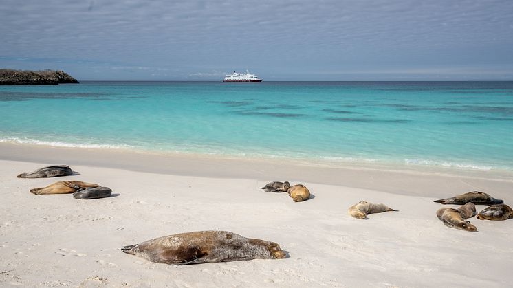Galapagos-Española-Island-Gardner-Bay-HGR-152600- Photo_John_Chardine