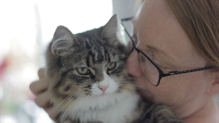 ​Betald ledighet för anställda som skaffar valp eller kattunge – Arken Zoo inför Tasstid permanent