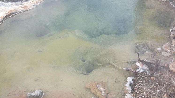 Yellowstone hot spring