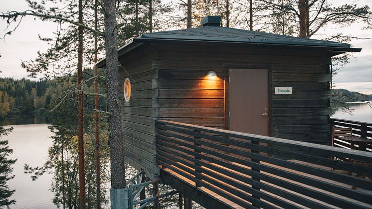 Fågelnäste 