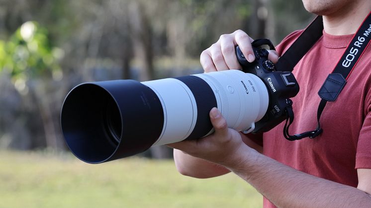 RF 200-800mm F6.3-9 IS USM-Lifestyle-040A3530