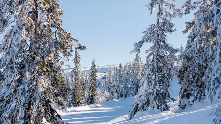 Stöten i Sälen - vackra vyer över fjället 2425