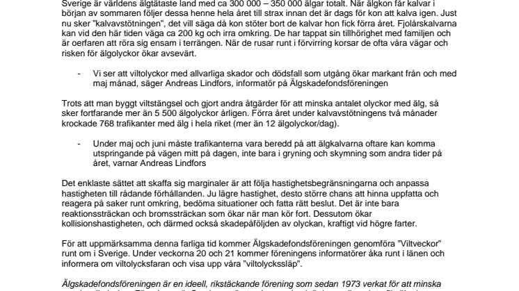 Höjd viltolycksrisk just nu
