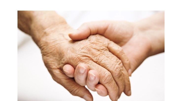 Alzinova släpper halvårsrapport