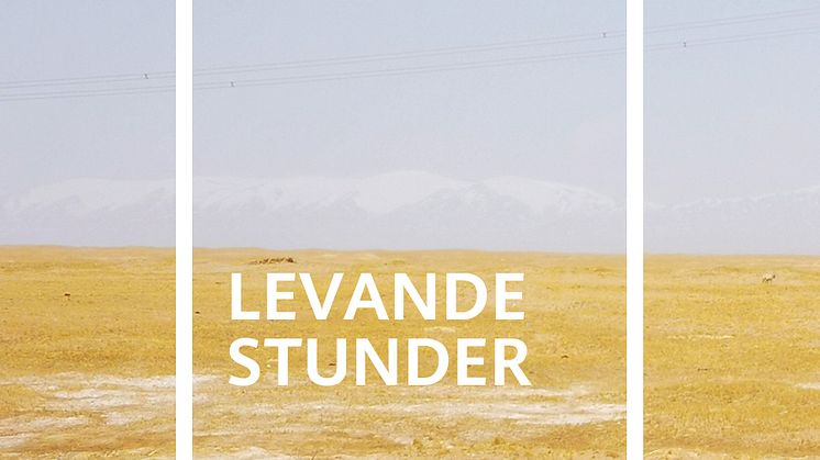 Levande stunder