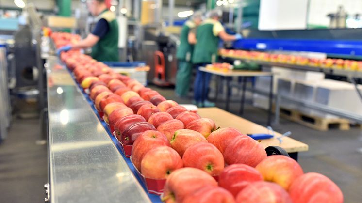 ​Onlineutbildning på engelska! Food Safety and HACCP - The Basics