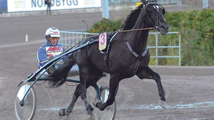 Nominerade till Årets Häst 2012
