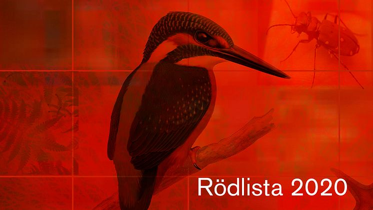 En ny rödlista är publicerad.