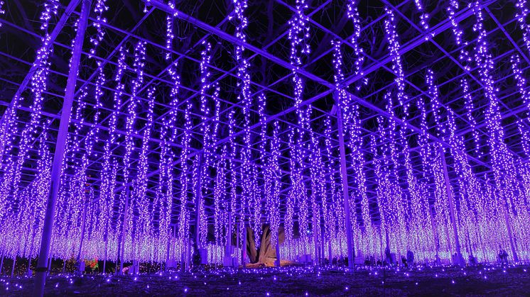 Ashikaga Flower Park(1)